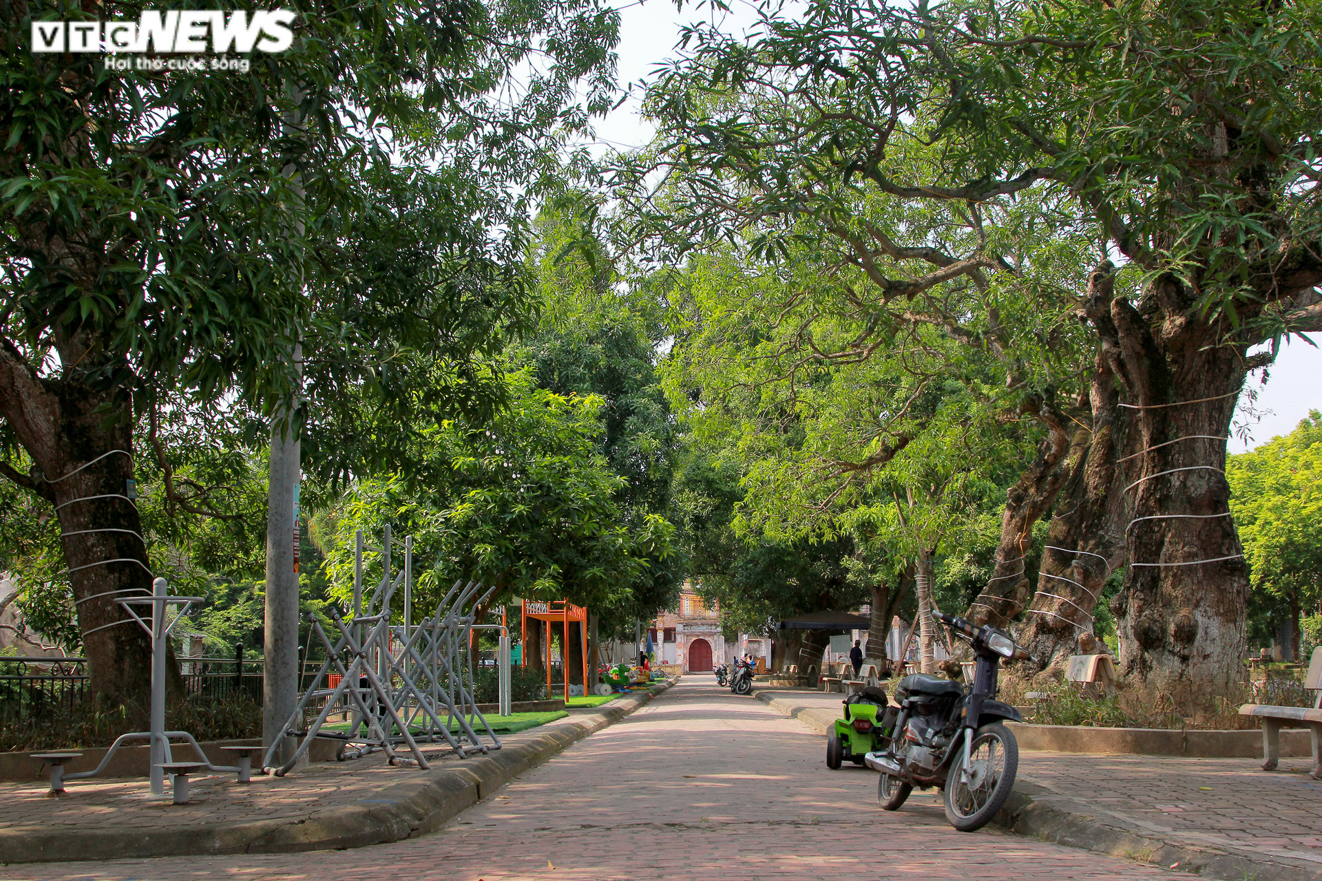 Công viên thu nhỏ ở làng quê ngoại thành Hà Nội hút hồn người già, trẻ nhỏ - 4