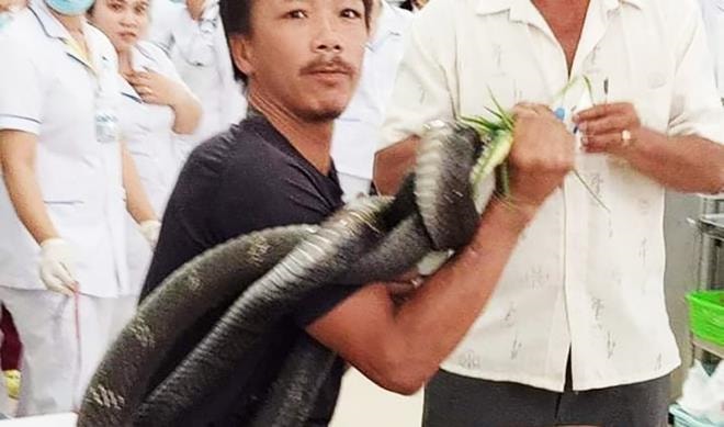 Sức khỏe người đàn ông bị rắn hổ mang chúa cắn ở Tây Ninh giờ ra sao? - 2