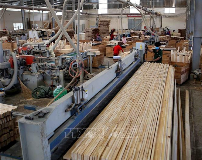 Quy định Hệ thống bảo đảm gỗ hợp pháp Việt Nam - ảnh 1