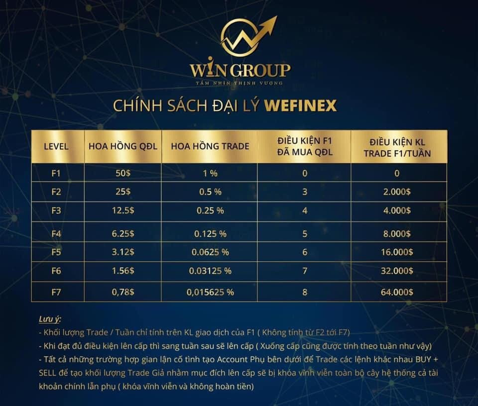 Wefinex là gì Đầu tư tài chính 40 hay lò đào tạo thủ lĩnh tỉa nến   Daututhongminhcom