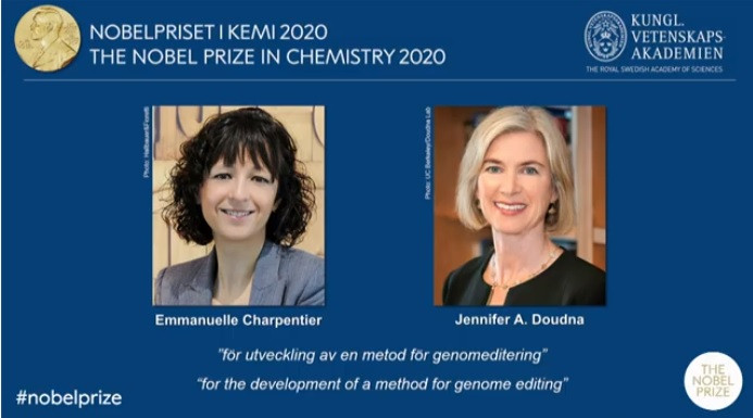 Nobel Hóa học 2020 về tay 2 nhà khoa học nữ nghiên cứu chỉnh sửa gene - 1