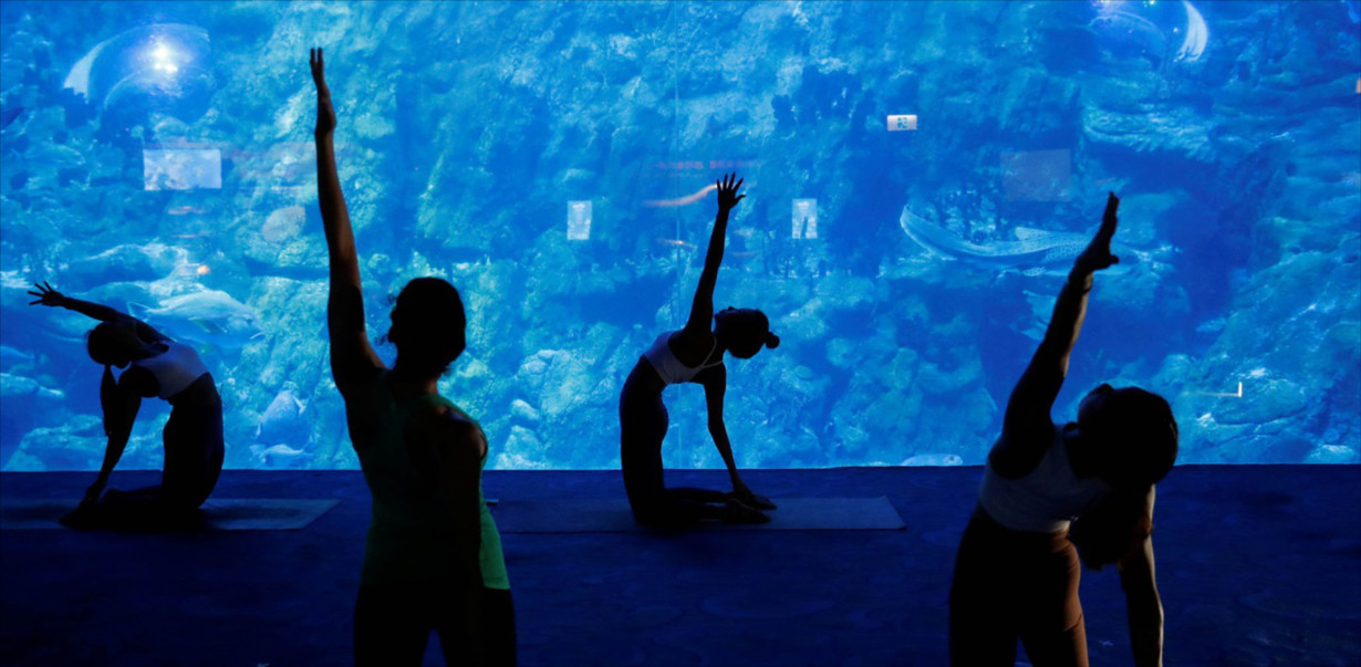Cơ hội trải nghiệm lớp học yoga giữa “lòng đại dương” (11/10/2020)