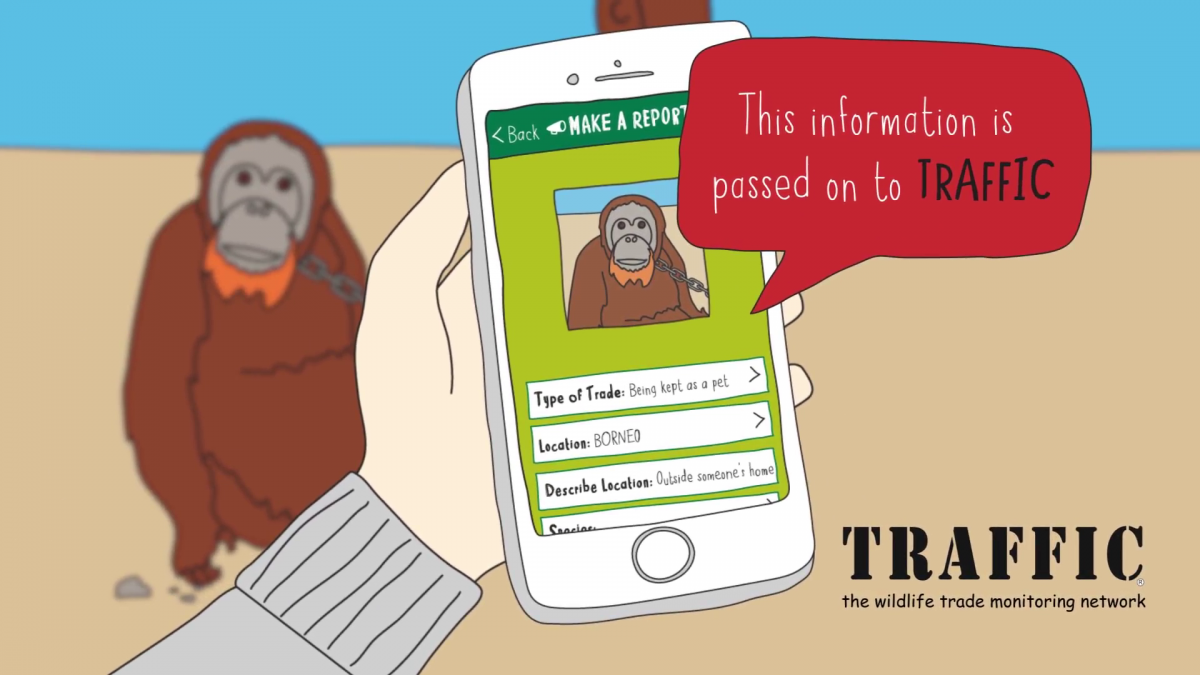 Du khách được khuyến khích sử dụng app Wildlife Witness để báo cáo hành vi xâm hại động vật. Nguồn: Chester Zoo
