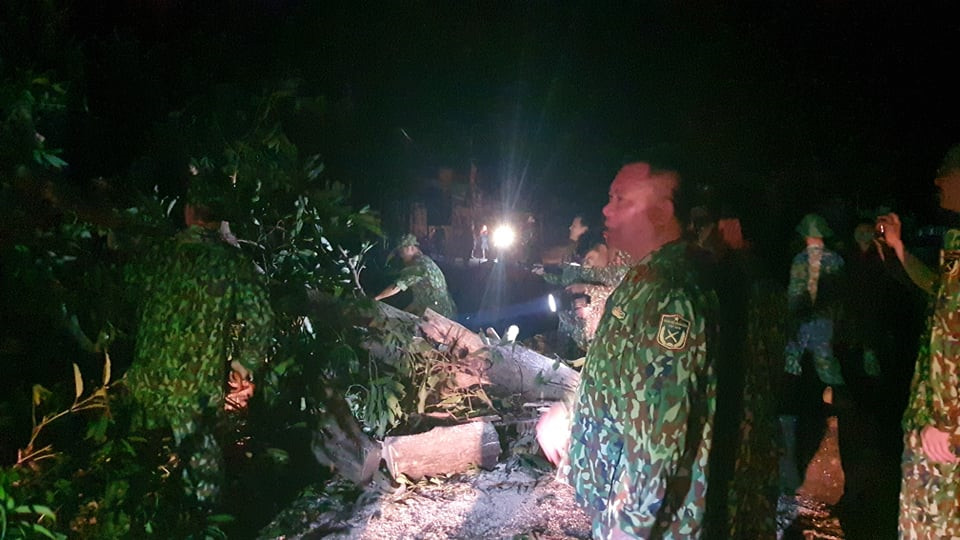 Sạt lở kinh hoàng ở Nam Trà My: Quân đội xuyên đêm cưa cây, mở đường - 1