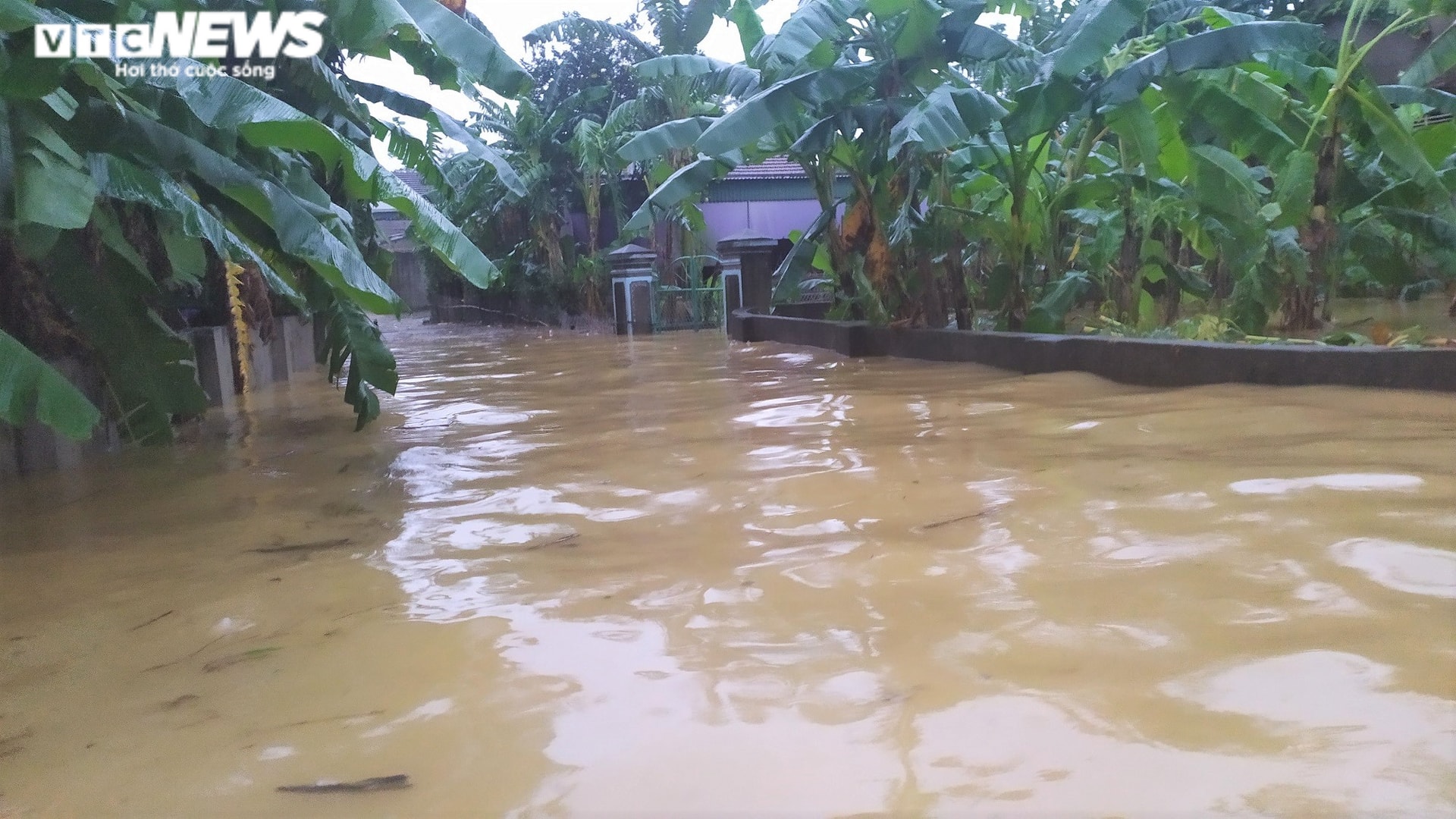 'Rốn lũ' Nghệ An ngập sâu gần 3m, chính quyền huy động cano đến cứu trợ dân - 6