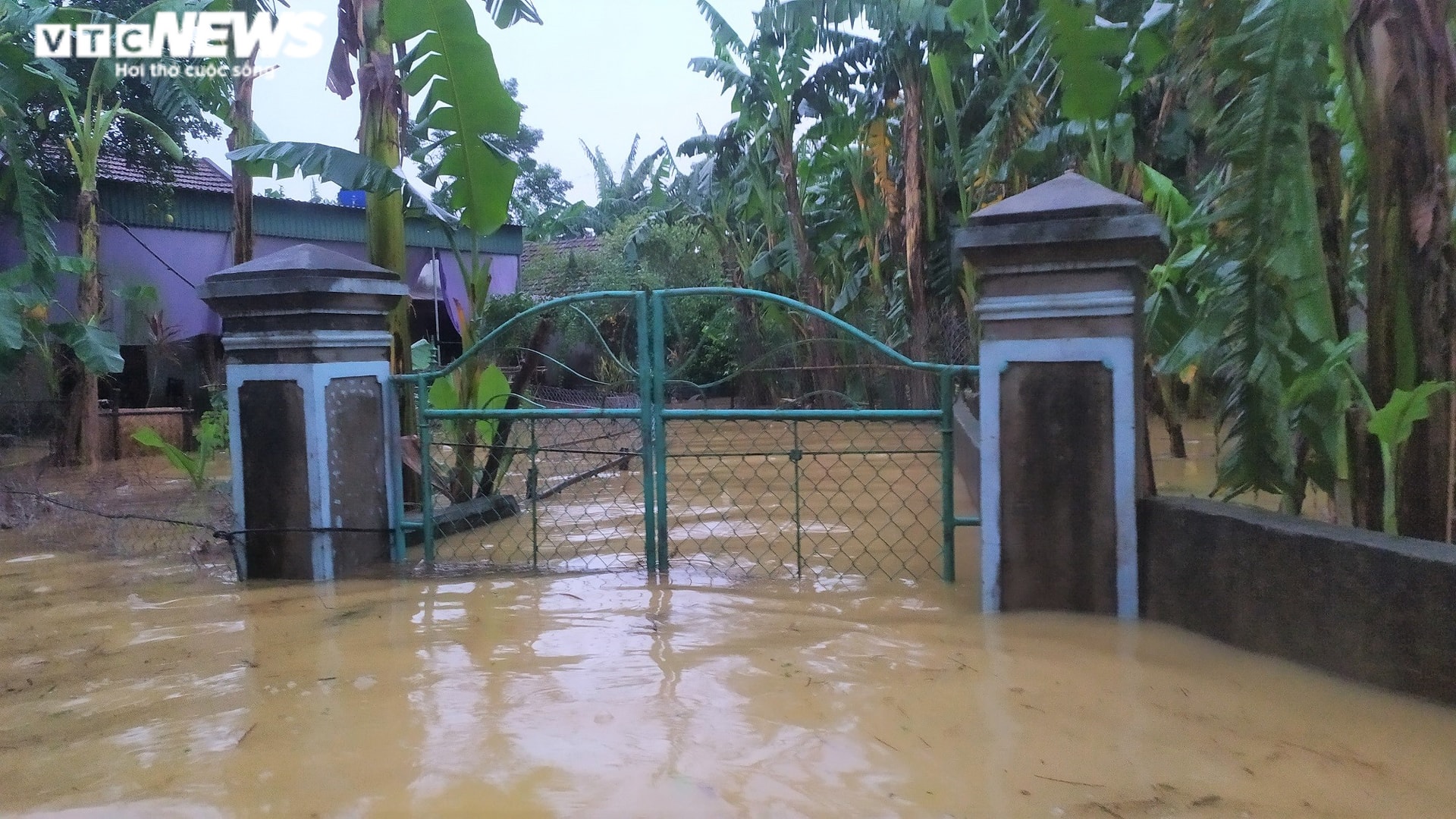 'Rốn lũ' Nghệ An ngập sâu gần 3m, chính quyền huy động cano đến cứu trợ dân - 4