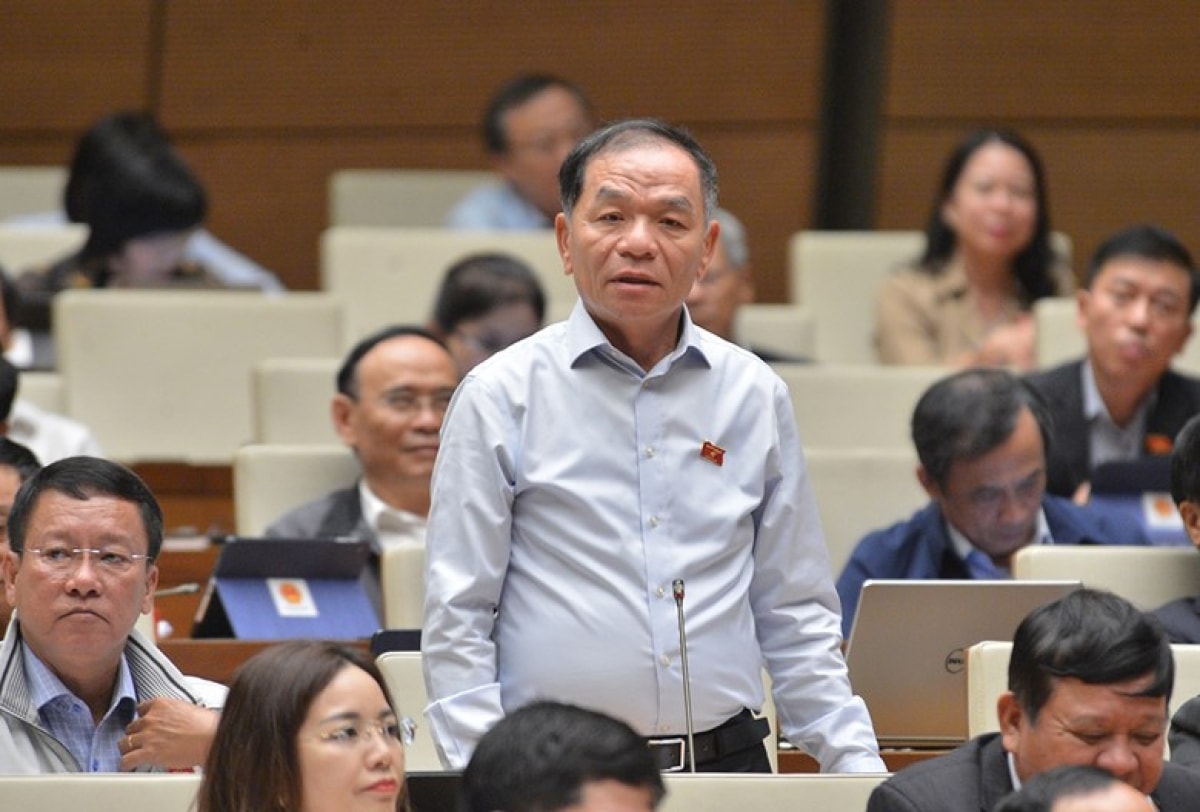 ĐBQH Lê Thanh Vân (Đoàn Cà Mau) chất vấn về câu chuyện ĐH Tôn Đức Thắng.