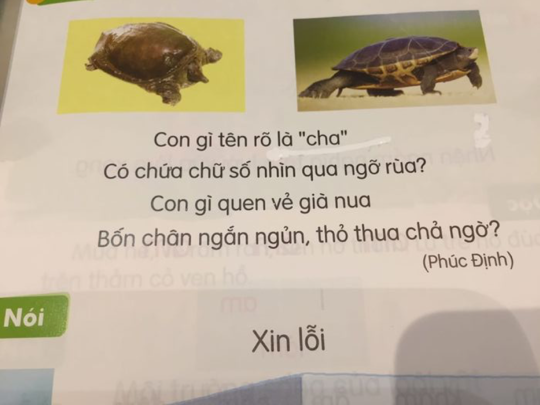 Sách Tiếng Việt 1- bộ Kết nối tri thức: Ngữ liệu phản cảm, cẩu thả - 3