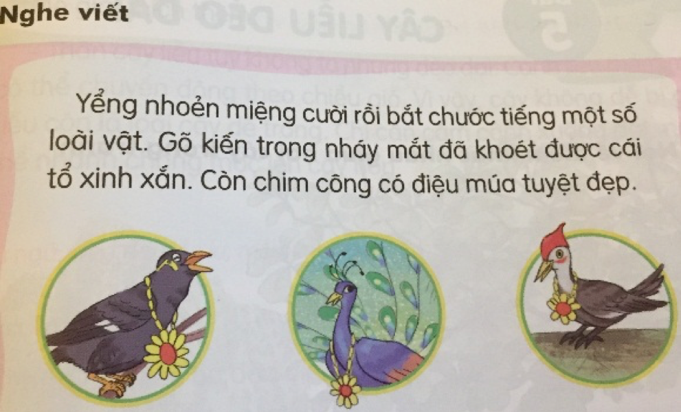 Sách Tiếng Việt 1- bộ Kết nối tri thức: Ngữ liệu phản cảm, cẩu thả - 1