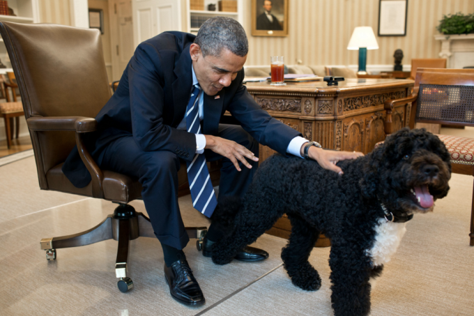 Những 'đệ nhất thú cưng' sống ở Nhà Trắng qua các đời Tổng thống Mỹ - 2