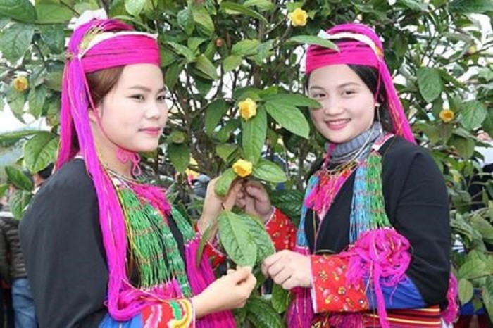 Quảng Ninh xây dựng trà hoa vàng trở thành sản phẩm OCOP cấp Quốc gia - 1
