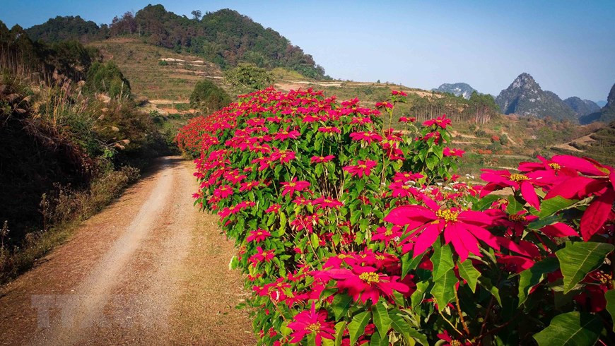 Khung cảnh mùa Đông đẹp mê hồn nơi biên cương Cao Bằng - 6