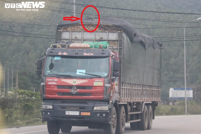 Giám đốc Công an Hà Tĩnh yêu cầu kiểm tra xe chở dăm gỗ náo loạn Cảng Lào-Việt - 3