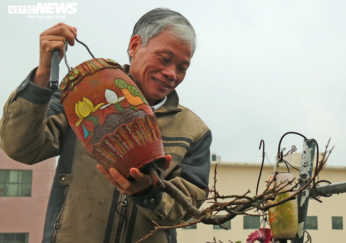 Chiêm ngưỡng vườn bonsai mọc ngược của 'dị nhân' xác lập kỷ lục Việt Nam - 1