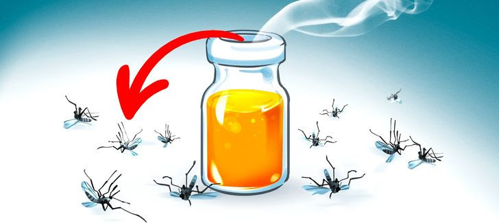 10 mẹo vặt giúp muỗi tránh xa bạn và nhà bạn - 4