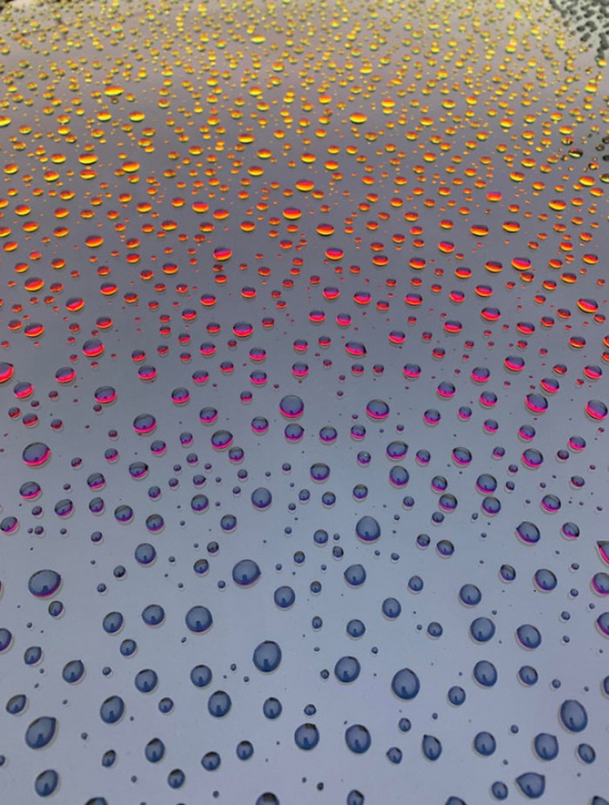 Những giọt nước trên ô tô phản chiếu trong ánh hoàng hôn.