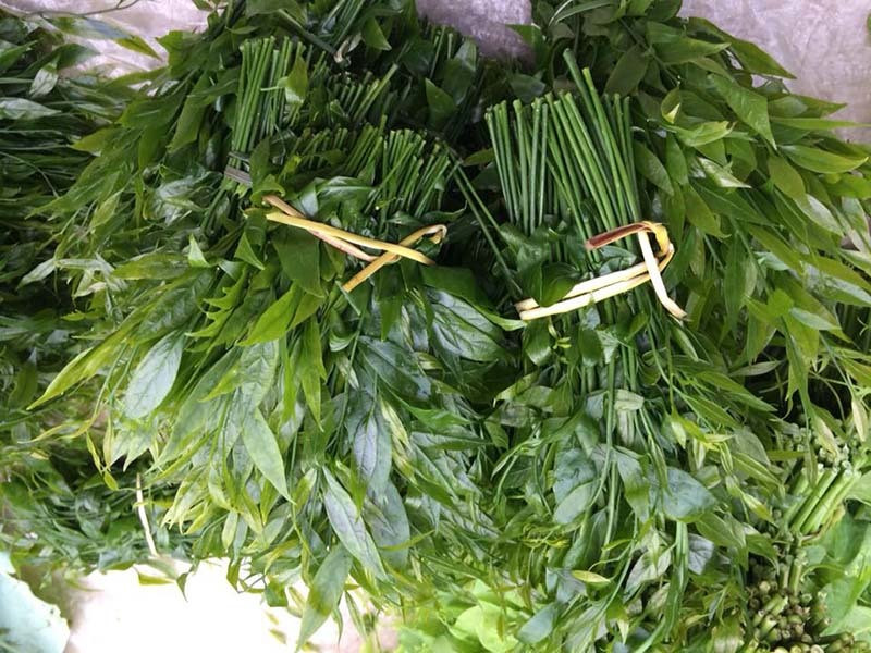 Món rau lạ trên rừng về Hà Nội, 200 nghìn/kg vẫn ‘cháy hàng’ - 4