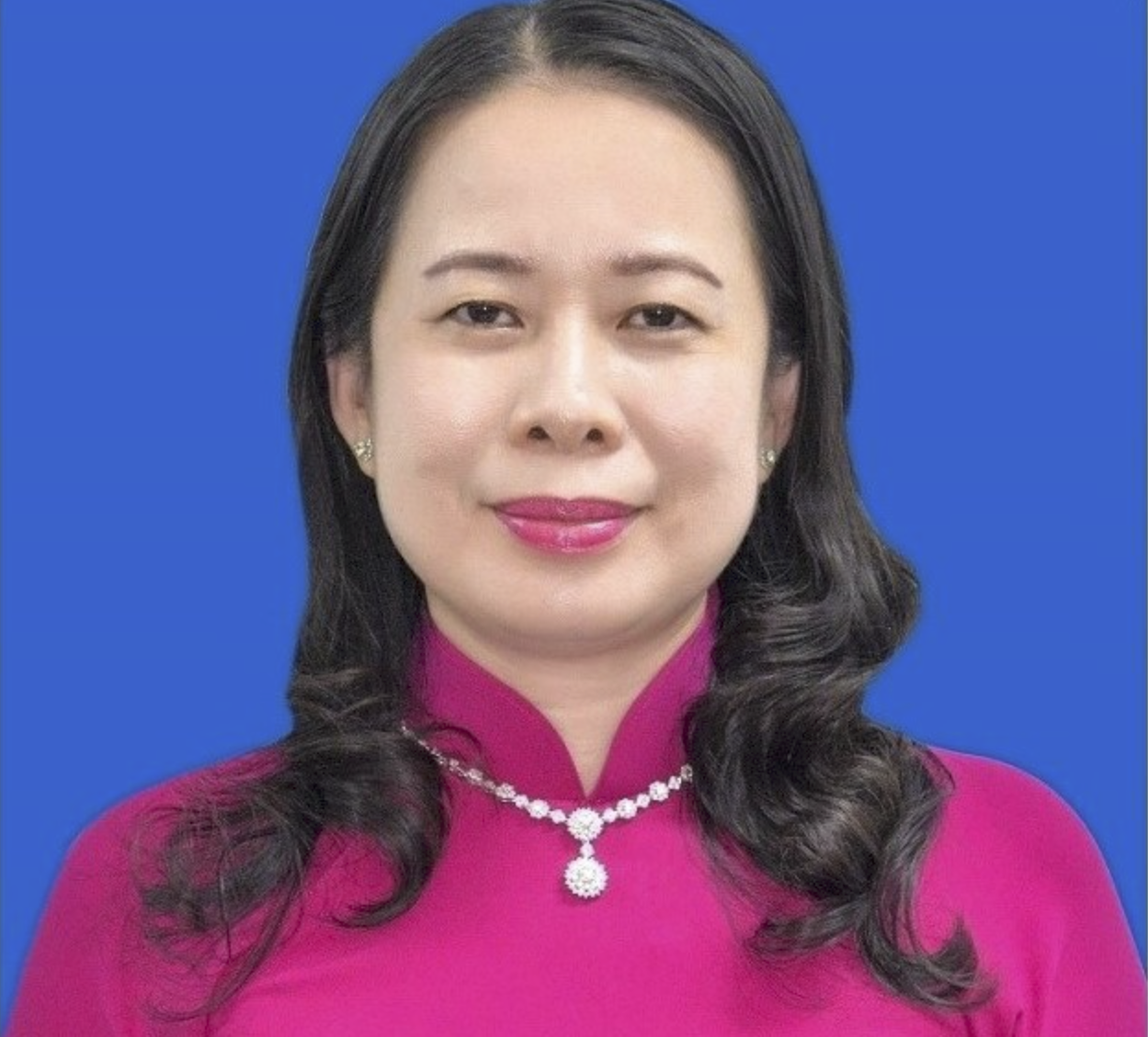 Chân dung tân Phó Chủ tịch nước Võ Thị Ánh Xuân  - 1