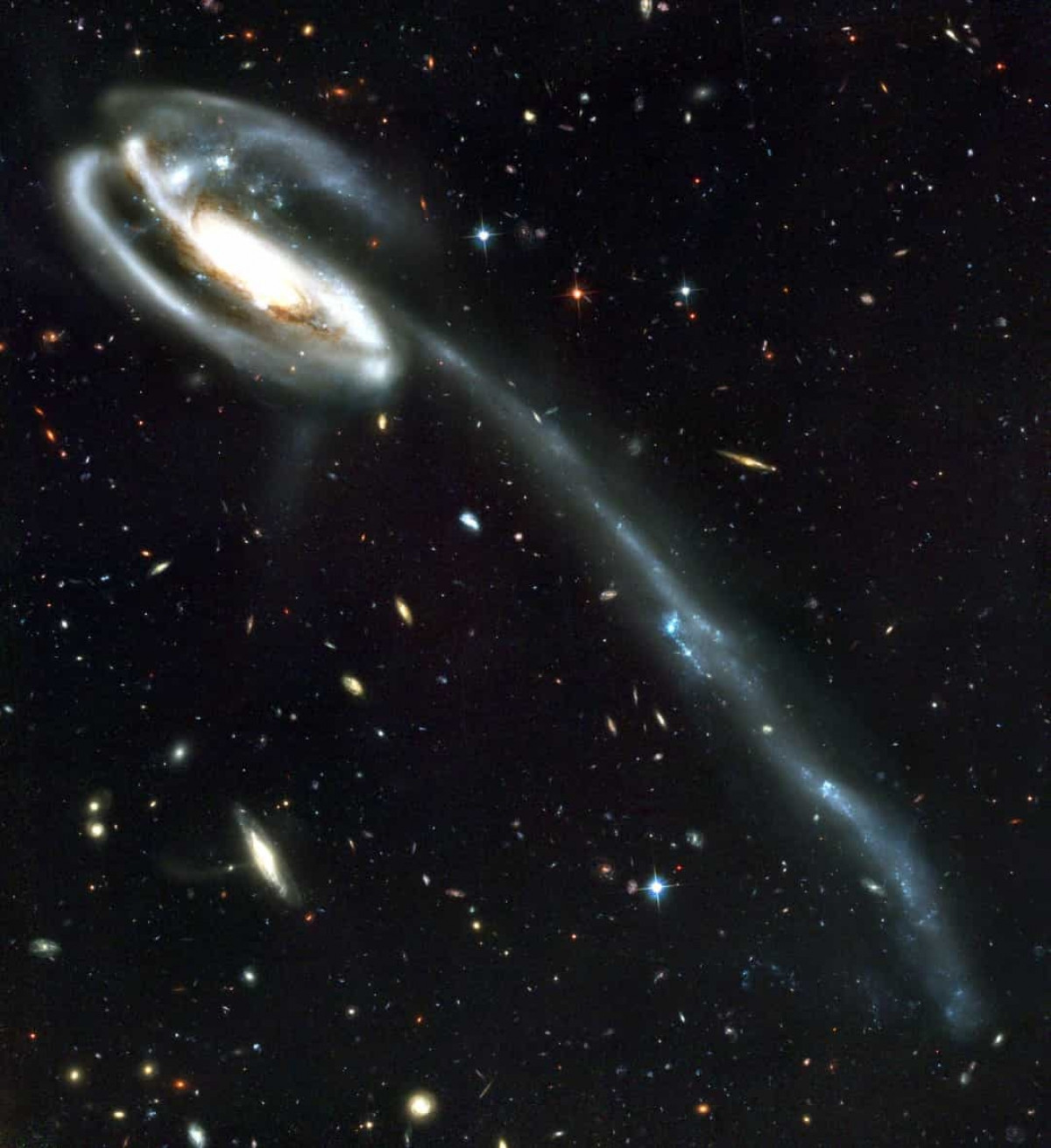 NGC 4889 là một thiên hà elip khổng lồ nằm cách Trái Đất 308 triệu năm ánh sáng và có đường kính là 239.000 năm ánh sáng. Thiên hà này có một hố đen ở trung tâm với chiều rộng từ 20 - 124 tỷ km. Thiên hà NGC 4889 được tạo thành từ 10.000 thiên hà nhỏ hơn trở lên.