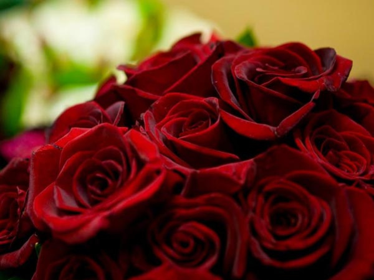 Lợi ích số 3: Hoa cũng có thể được sử dụng làm thuốc. Ở một số nơi, hoa hồng được sử dụng để điều trị các vấn đề về tiêu hóa và gan; hoa bồ công anh được sử dụng để điều trị thiếu máu và vàng da nhờ tác dụng thanh lọc máu.