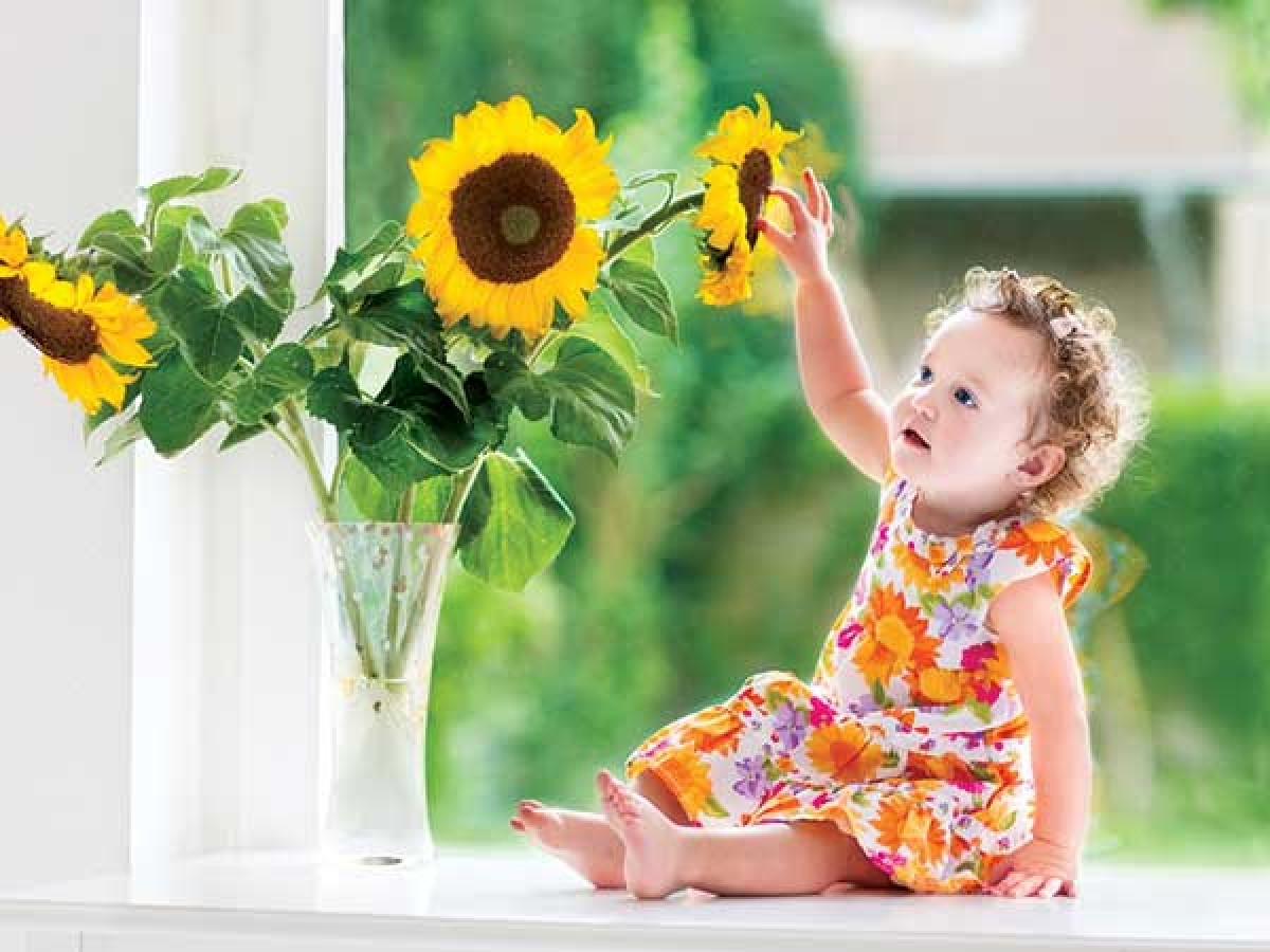 Lợi ích số 8: Một số nghiên cứu chỉ ra rằng đặt hoa và cây xanh trong nhà giúp tăng cường sự tập trung của bạn, vì thực vật cung cấp thêm oxy cho không gian trong nhà, nhờ đó giúp các tế bào não hoạt động tích cực hơn.