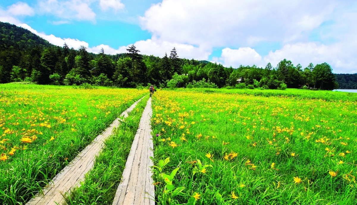 Làng Hinoemata là một nơi tuyệt đẹp dành cho những du khách yêu thích đi bộ trekking khám phá thiên nhiên. Dưới đầm lầy, những bông cải và hoa lily núi nở vàng rực rỡ và tạo nên một khung cảnh hùng vĩ đến choáng ngợp.