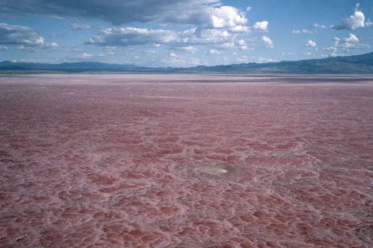 Hồ Natron: Nằm ở Bắc Tanzania, hồ Natron được đặt tên theo một chất hóa học nguy hiểm. Việc tiếp xúc với nước hồ sẽ khiến da và mắt bạn bị bỏng.