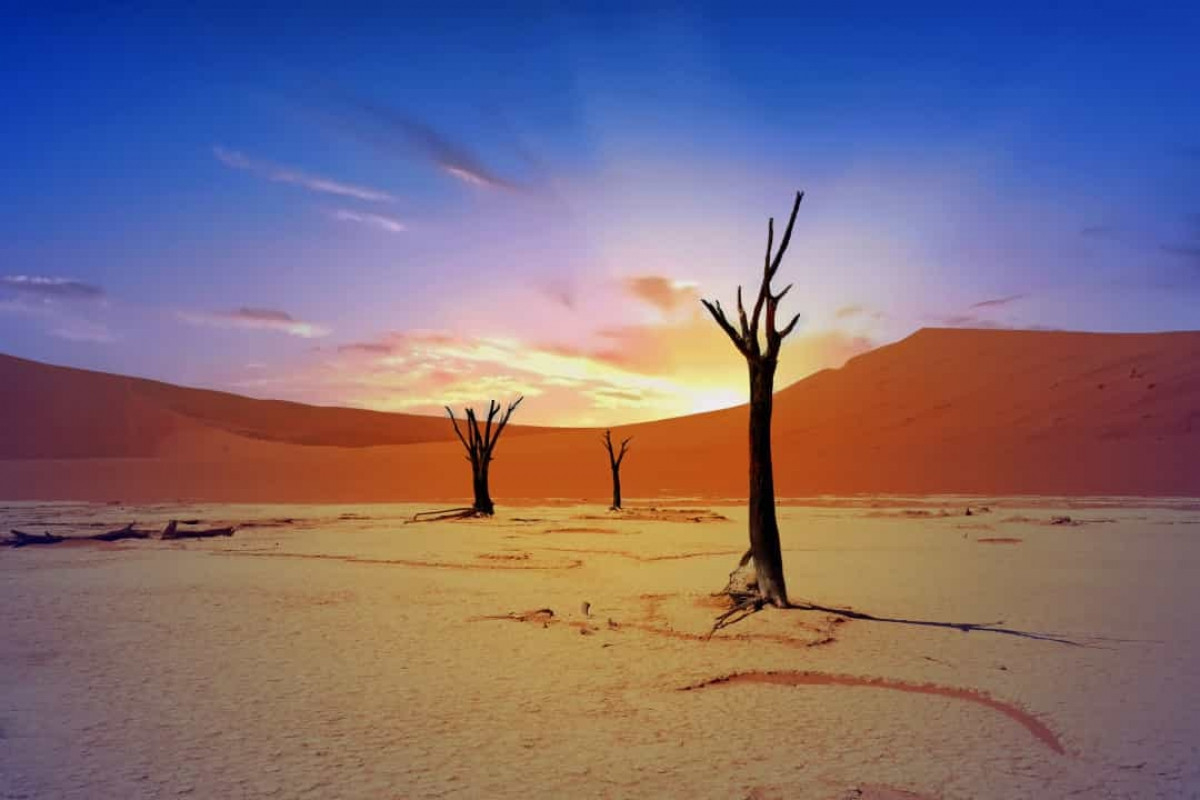 Những thân cây Acacia đã chết tạo nên khung cảnh độc đáo ở Dead Vlei, Namibia. Các nhiếp ảnh gia thường tìm đến đây chụp ảnh để ghi lại vẻ đẹp tương phản giữa những cồn cát cam đậm và những thân cây khô cháy.