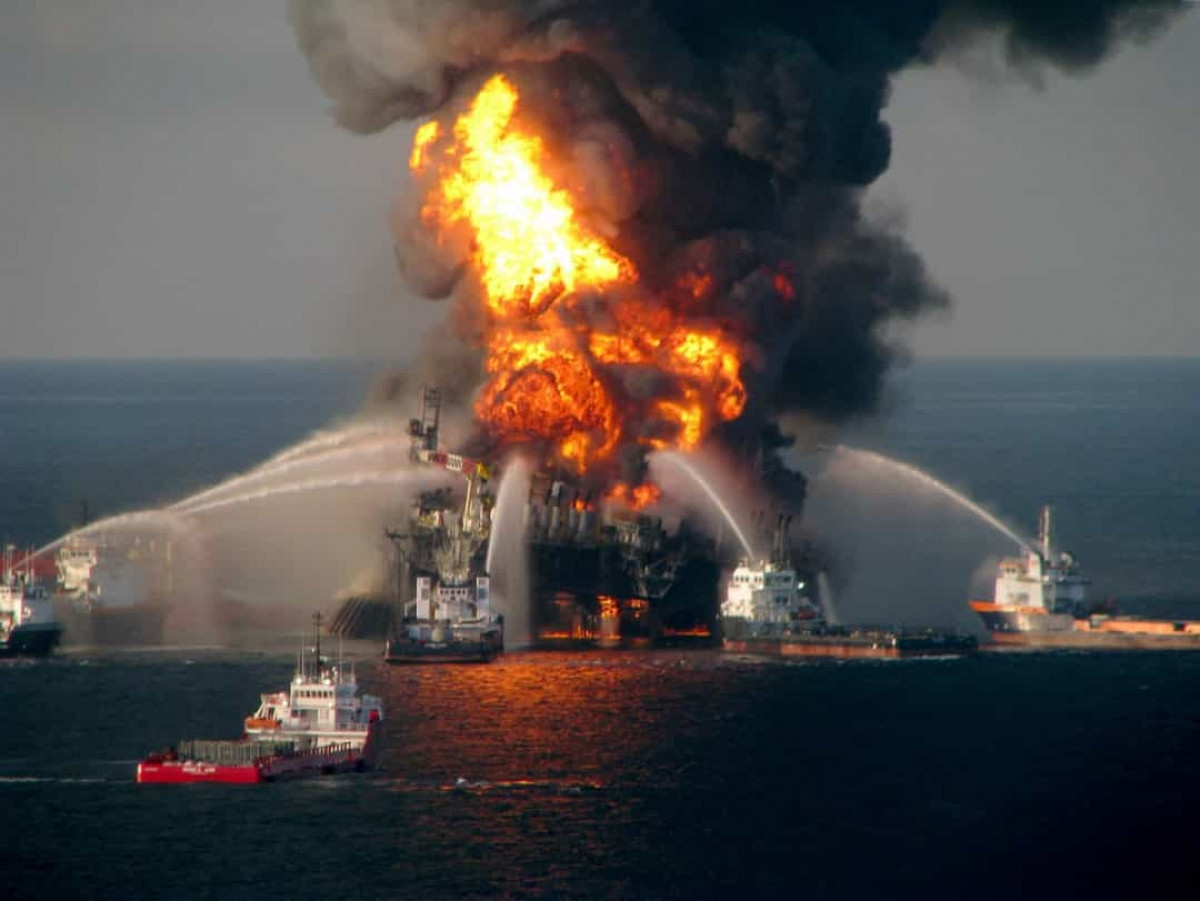 Sự cố tràn dầu Deepwater Horizon năm 2010. Vào ngày 20/4/2010 tại vịnh Mexico, giàn khoan nổi Deepwater Horizon đã phát nổ. Vào thời điểm đó, ước tính khoảng 1.000 thùng dầu bị rò rỉ mỗi ngày đã được đổ xuống vịnh. Theo Stars Insider, vụ tràn đã có tác động tàn khốc đối với sinh vật biển ở vùng vịnh Mexico.