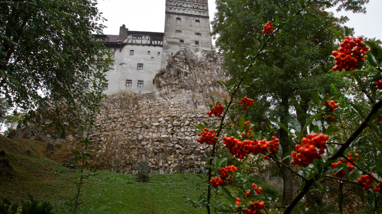 Romania 'dụ' dân tiêm vaccine COVID-19 bằng lâu đài ma cà rồng  - 1