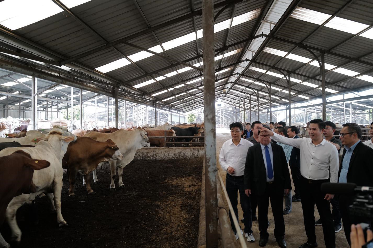 Chủ tịch HĐQT Asanzo: Phân bón hữu cơ là chìa khoá tăng chất lượng nông sản - 3