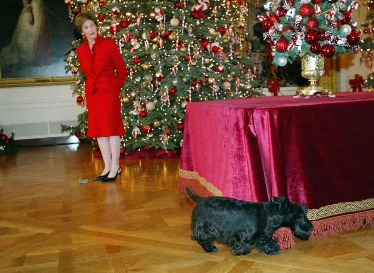 Những vết bẩn trên thảm tại Nhà Trắng không được làm sạch kịp thời. Jodi Kantor, người viết tiểu sử về gia đình ông Obama tiết lộ rằng, khi cựu tổng thống chuyển đến, vẫn còn vết bẩn trên thảm do những chú mèo của ông George W. Bush để lại.