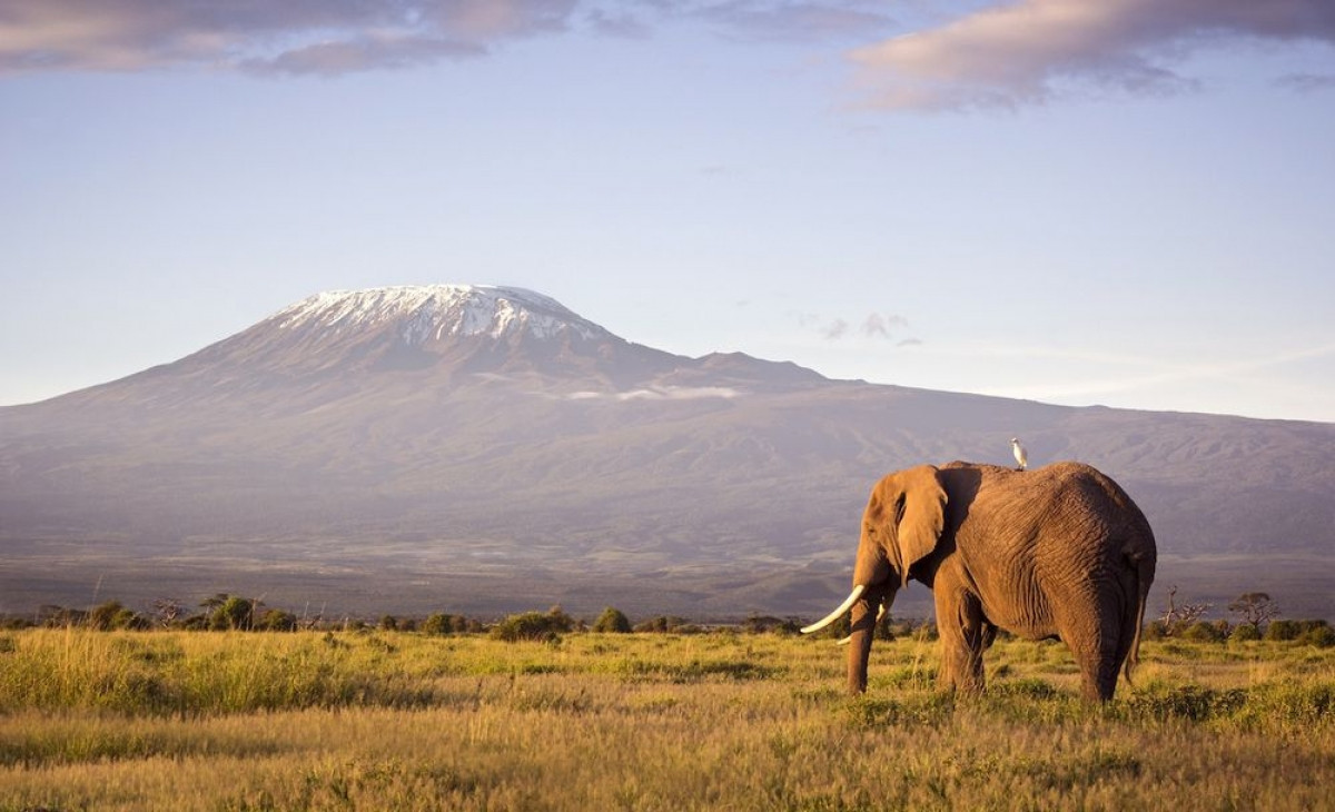 Núi Kilimanjaro được mệnh danh là 
