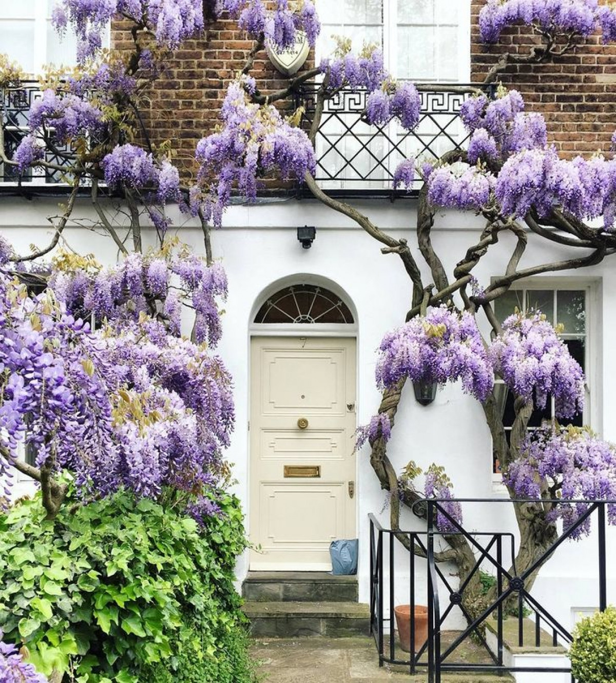 Nhiếp ảnh gia người Anh Bella Foxwell đã đi khắp London để chụp lại vô số những khung cửa ra vào tuyệt đẹp.