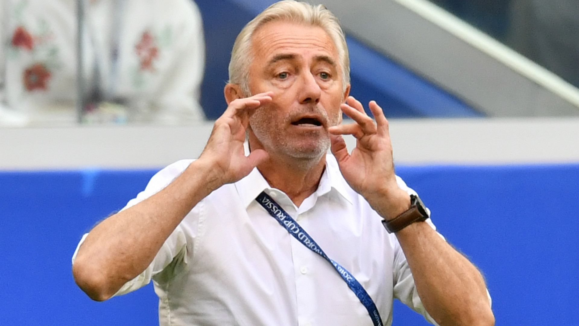 HLV Van Marwijk: 'Tuyển UAE mạnh hơn so với lúc thua Việt Nam'  - 1