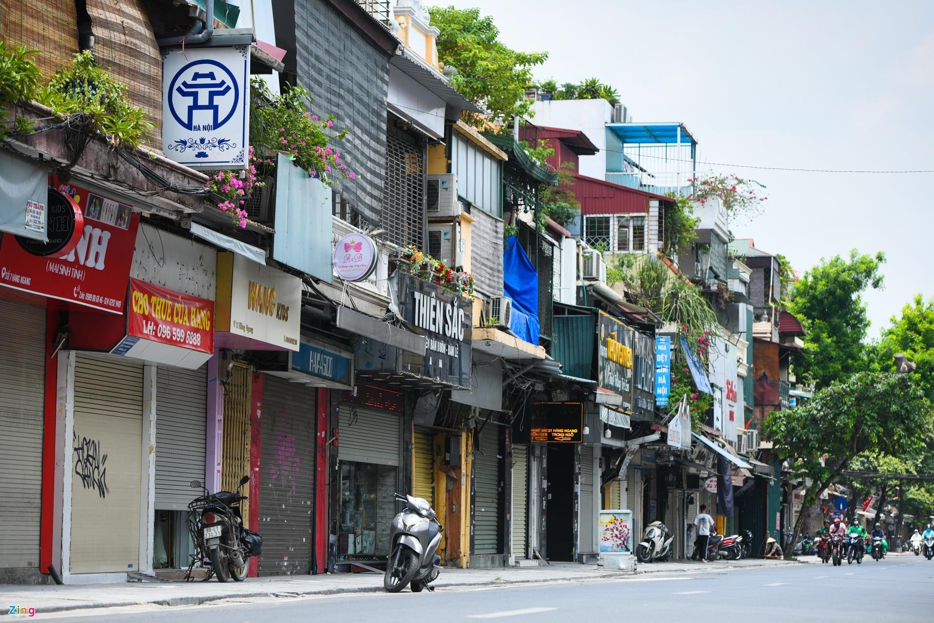 Nhà phố cổ Hà Nội đồng loạt treo biển cho thuê, bán nhà - 1