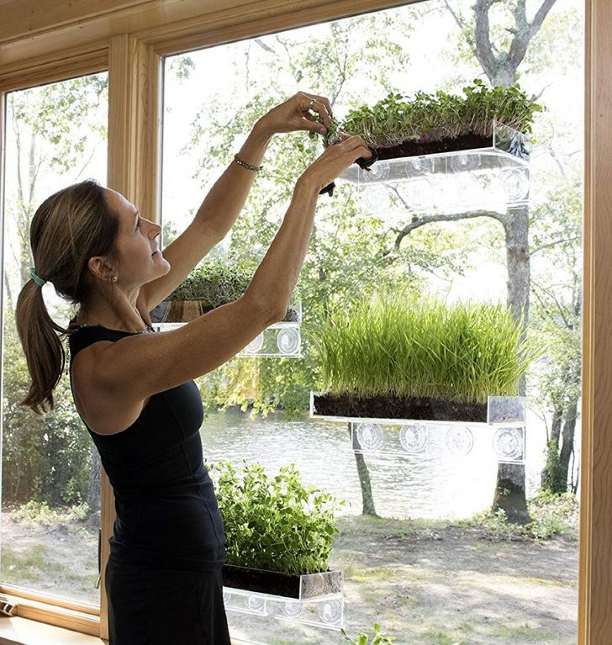 Bạn có thể tạo ra một khu vườn nhỏ trong nhà trên chính kệ cửa sổ.