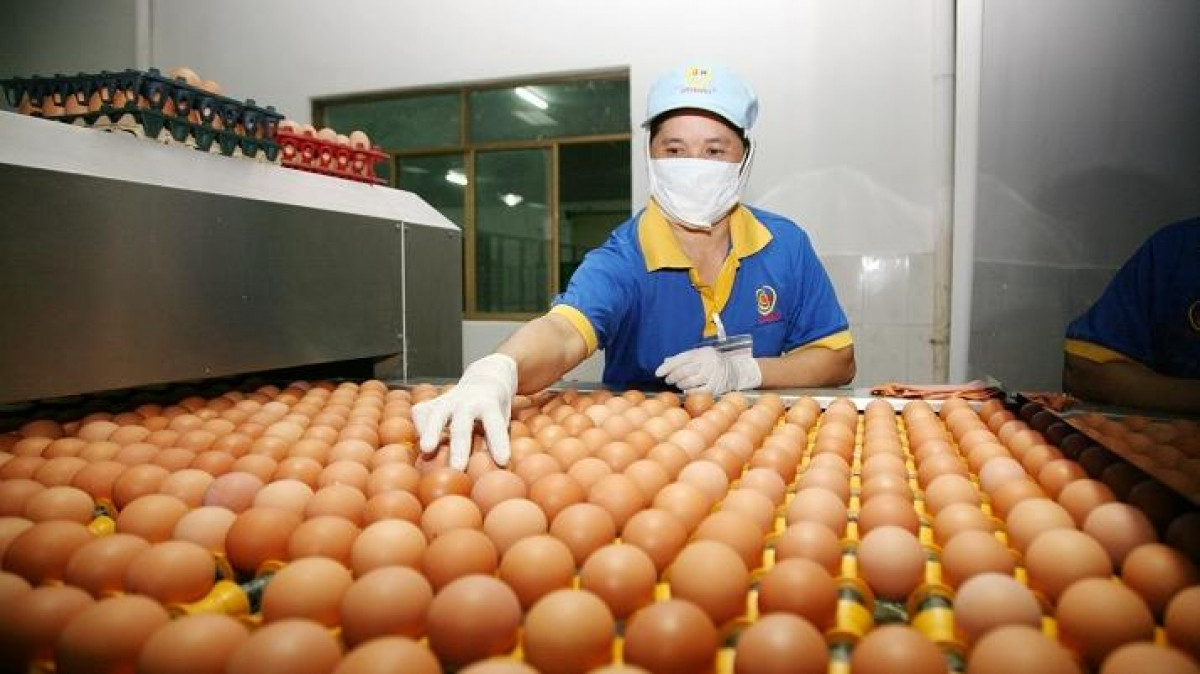 Sản phẩm trứng gà của Công ty Ba Huân