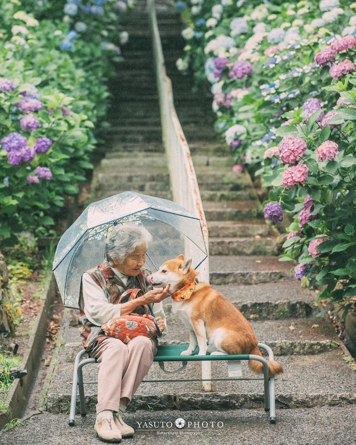 Bộ ảnh đẹp đến nao lòng về người bà và chú chó cưng