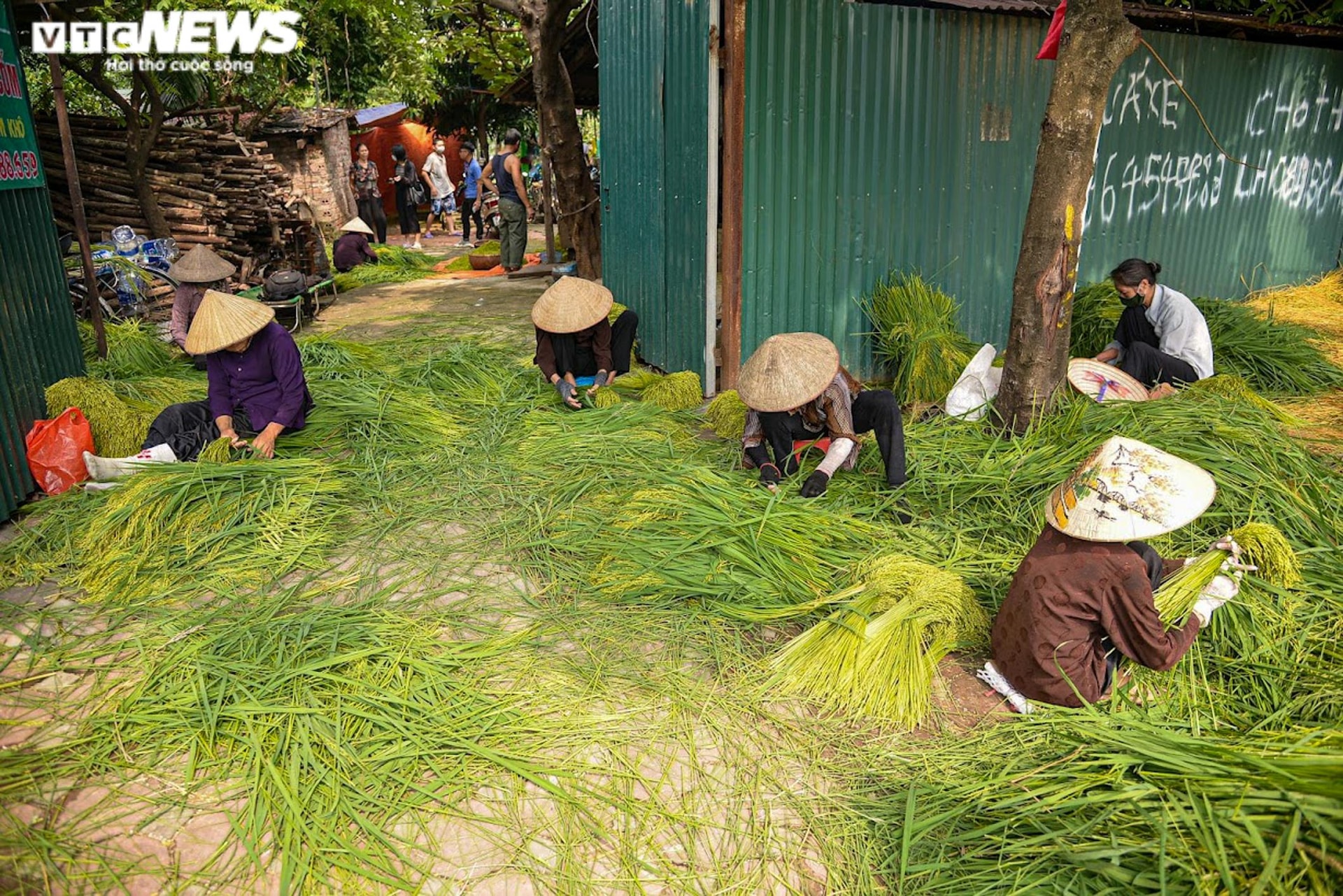 Làng cốm Mễ Trì, Hà Nội đỏ lửa, rộn vang tiếng chày sau thời gian giãn cách - 1