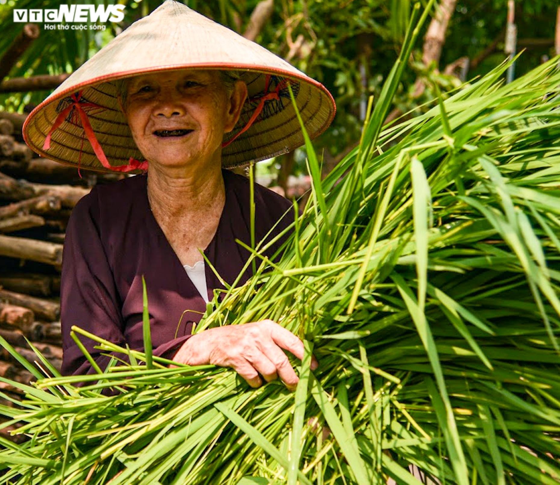 Làng cốm Mễ Trì, Hà Nội đỏ lửa, rộn vang tiếng chày sau thời gian giãn cách - 2