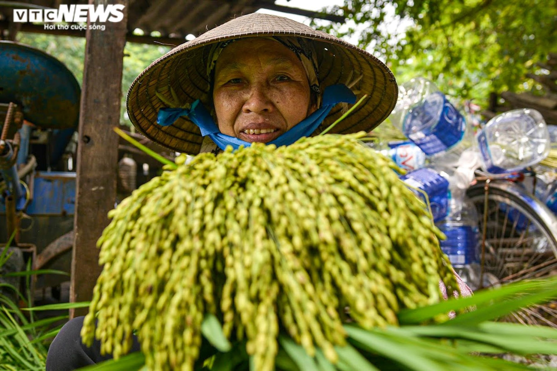 Làng cốm Mễ Trì, Hà Nội đỏ lửa, rộn vang tiếng chày sau thời gian giãn cách - 5