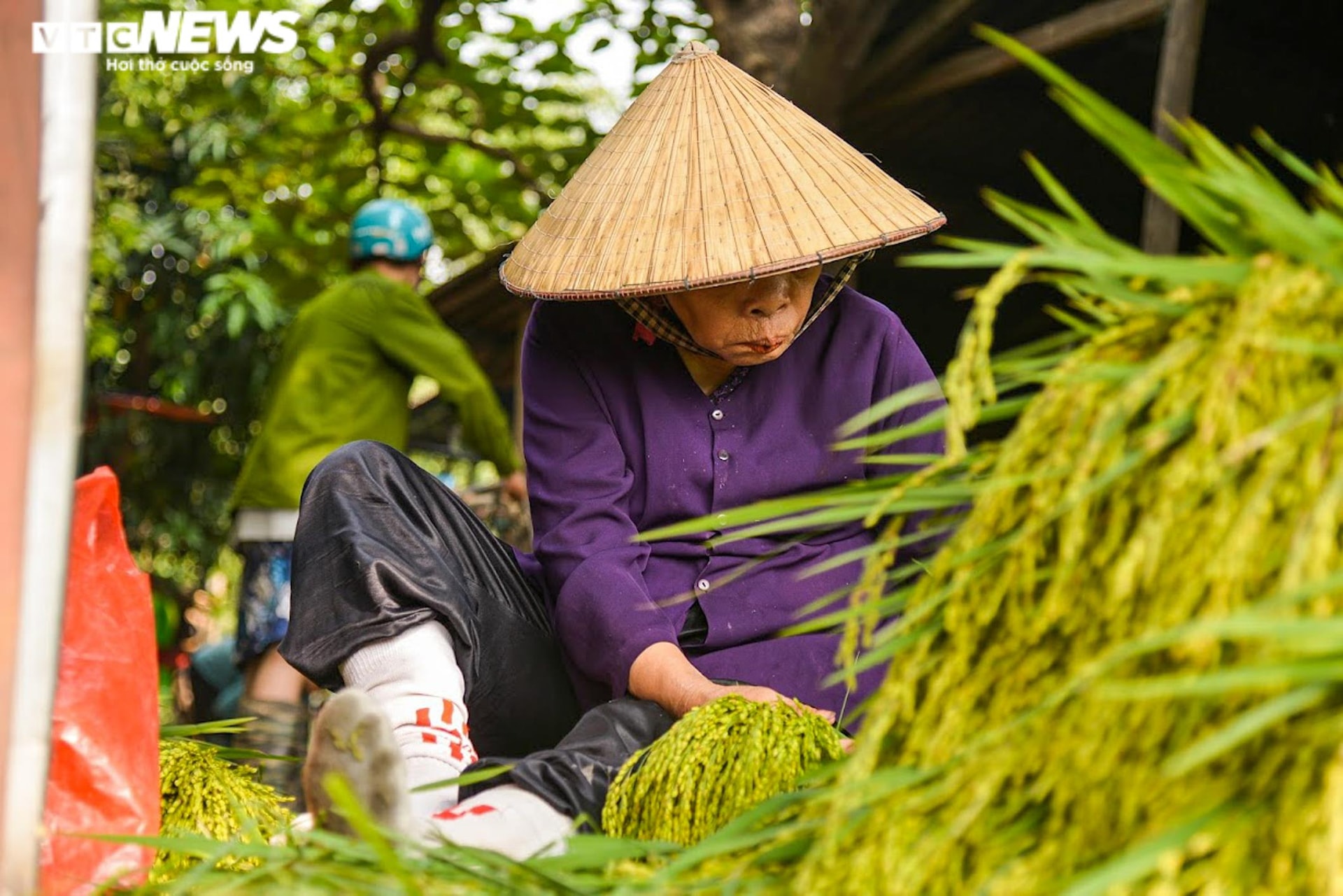 Làng cốm Mễ Trì, Hà Nội đỏ lửa, rộn vang tiếng chày sau thời gian giãn cách - 3