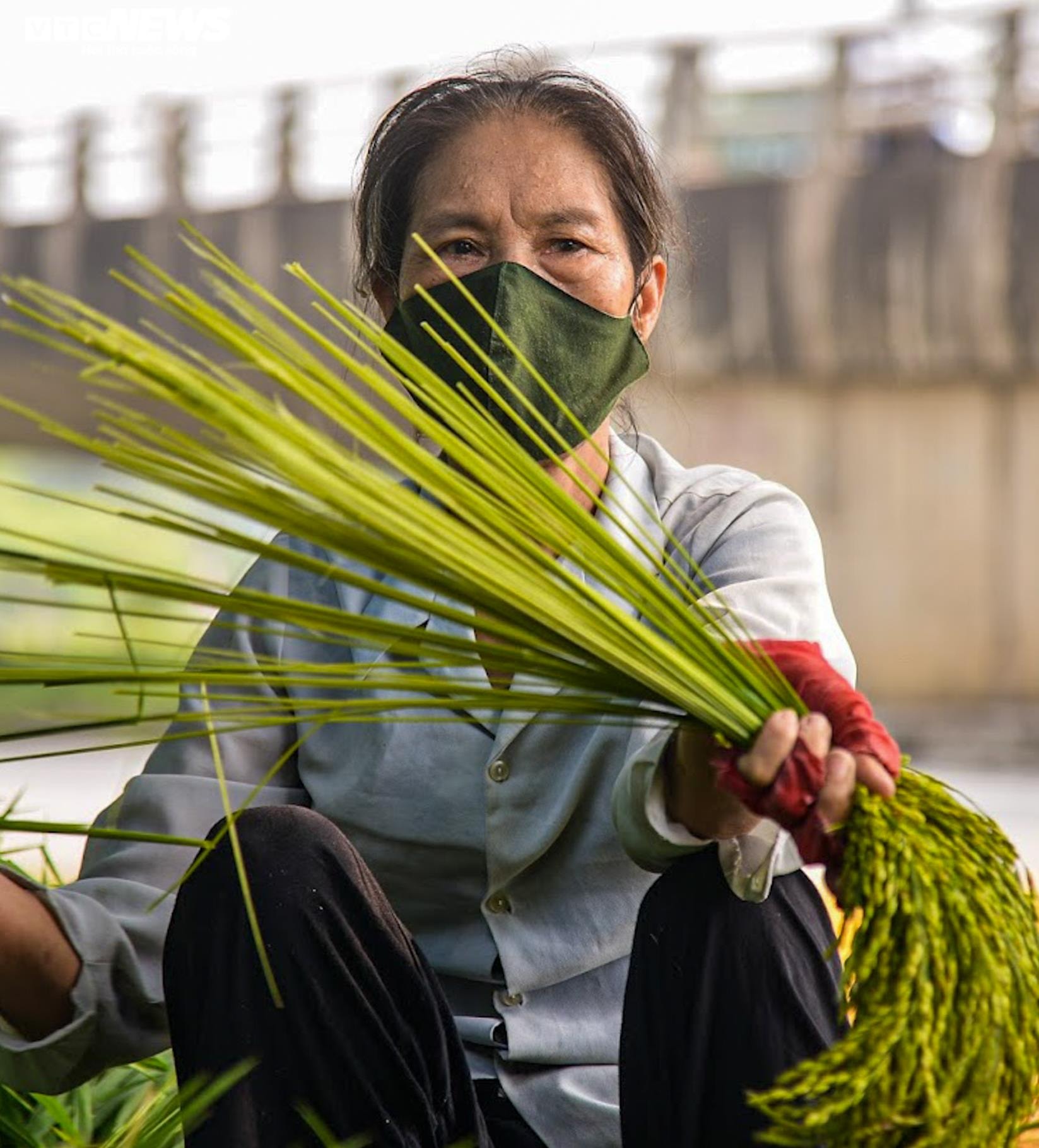 Làng cốm Mễ Trì, Hà Nội đỏ lửa, rộn vang tiếng chày sau thời gian giãn cách - 4