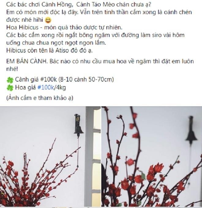 Đến lượt cành atiso, cành găng hóa hàng độc lạ, chị em đua nhau lùng mua - 1
