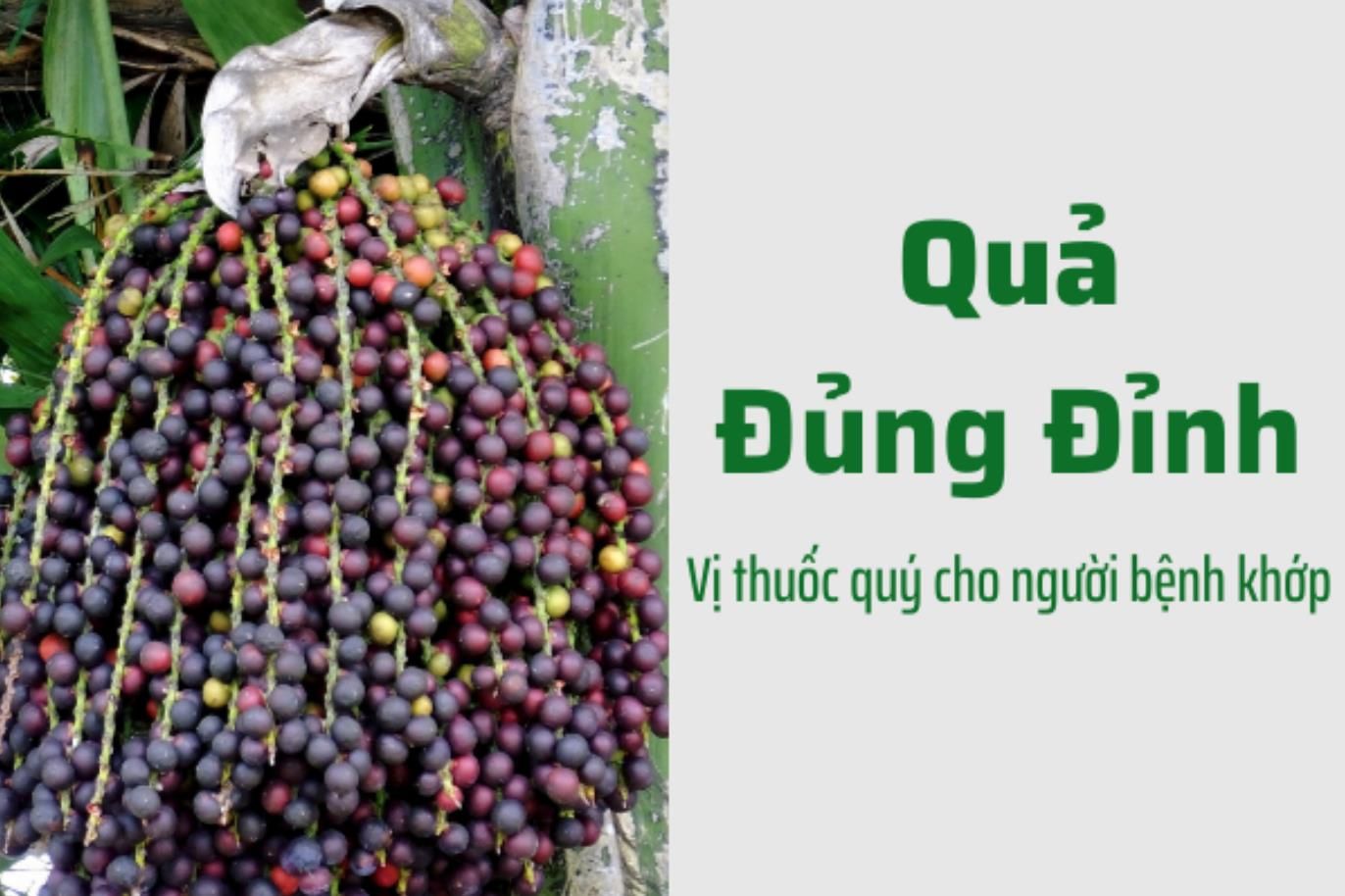 Sự thật bất ngờ về loài cây đủng đỉnh với người thoái hóa xương khớp - 1