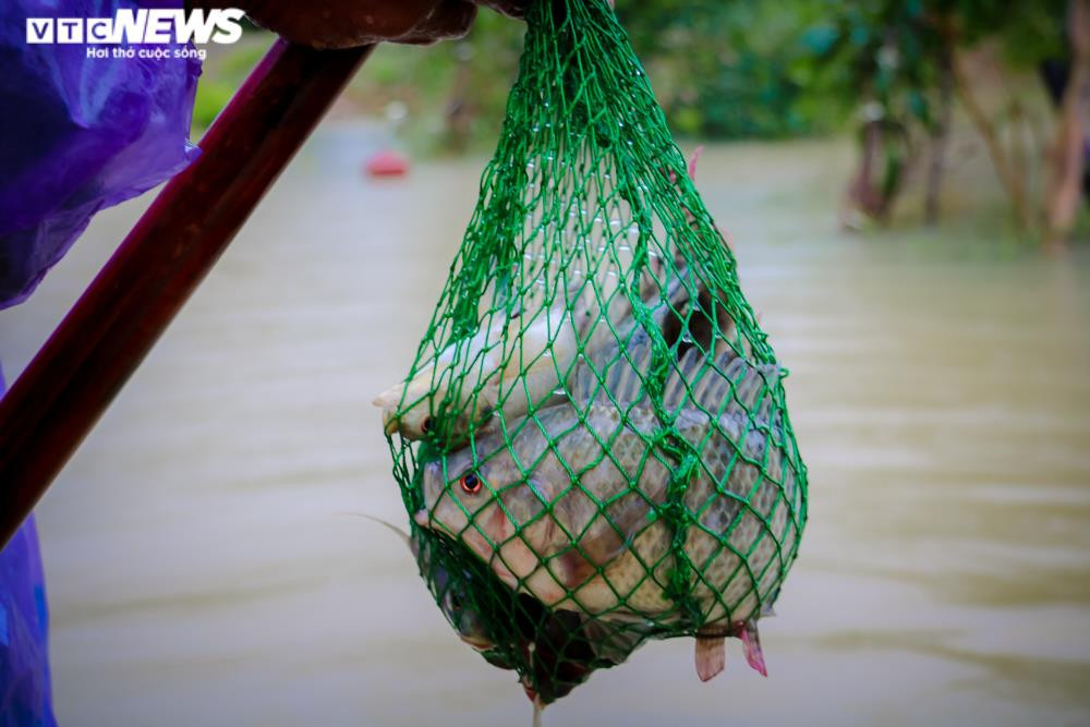 Ảnh: Nước dâng nhanh, người dân Hà Tĩnh giăng lưới bắt cá giữa đường - 5