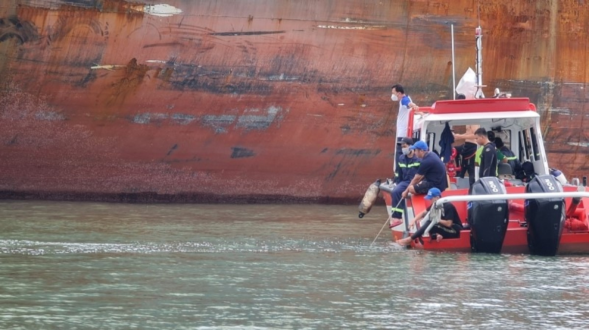 Sau 4 ngày tìm kiếm, thi thể nạn nhân mất tích được tìm thấy ở cảng Cái Mép thuộc tỉnh Bà Rịa - Vũng Tàu. (Ảnh: Công an TP.HCM)