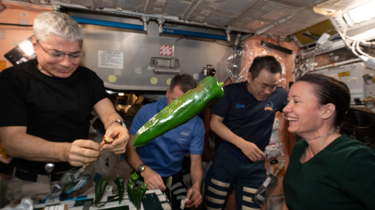Phi hành gia làm bánh từ ớt trồng trên Trạm Vũ trụ Quốc tế - 6