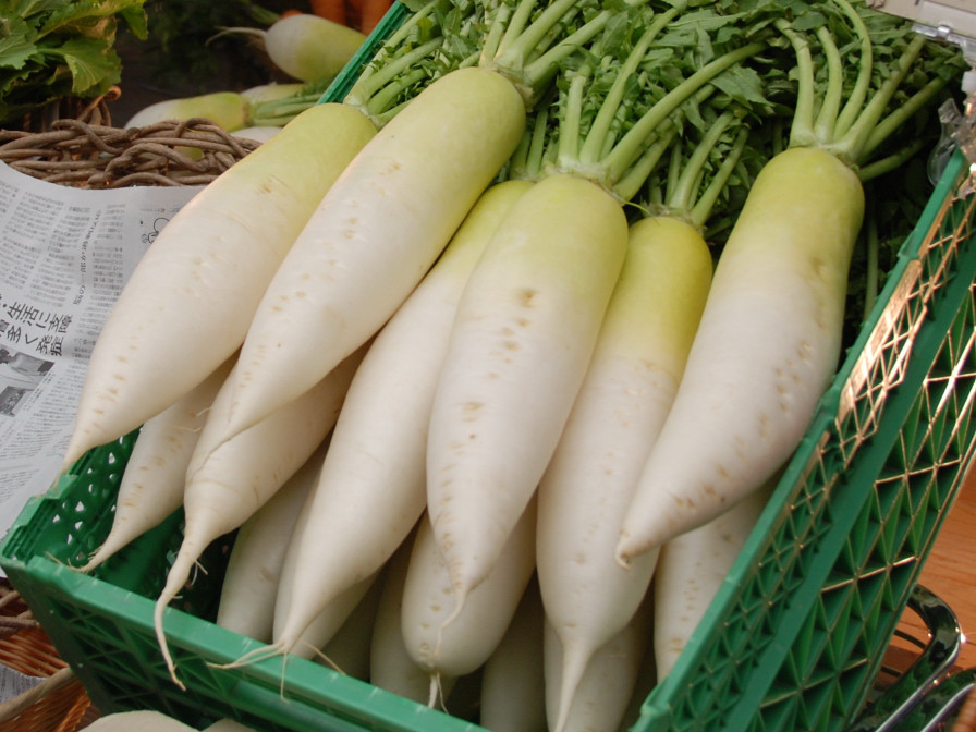5 loại thực phẩm không nên kết hợp với củ cải - 1